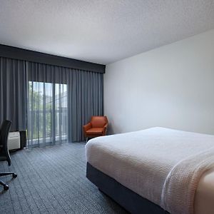King Room Sofa Bed